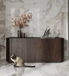 _Designer sideboard made from valuable veneer_