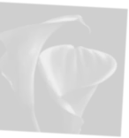 Вдохновение при создании Vida Classic