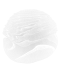 Inspired by the natural forms