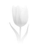 Воплощение весенней красоты и легкости