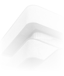 Interpretation of an architectural facade