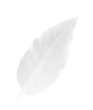 Harmony of nature in the Balance banquette