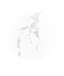 Вдохновение при создании Coppelia