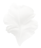 Inspiration in the table name