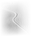 Вдохновение при создании стола Petal