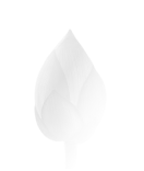 История создания и вдохновение